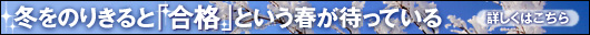 �~���̂肫��Ɓu���i�v�Ƃ����t���҂��Ă���@���i�̌��L�@2011�N��т̐�